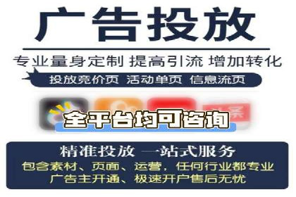 SEO与SEM融合策略：成功案例解析